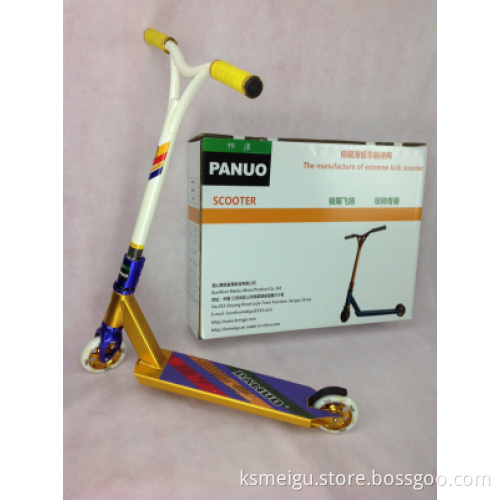 Professional Aluminum Alloy Kick Scooter (ZCW001)